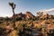 Joshua Tree National Park is an American national park in California, east of Los Angeles. The park is named for the Joshua trees