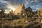 Joshua Tree National Park in California during a dramatic sunset. Yucca brevifolia trees in foreground