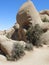 Joshua tree National Park - Desert - Skull of stone