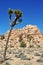 Joshua Tree National Park, Jumbo Rocks