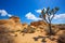 Joshua Tree National Park Jumbo Rocks Yucca valley Desert California