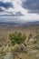 Joshua Tree National Park looking at Palm Springs and Bermuda Sand Dunes view