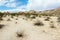 Joshua Tree National Park, Mojave Desert, California