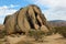 Joshua Tree National Park, Mojave Desert, California