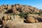 Joshua Tree National Park, Mojave Desert, California