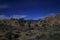 Joshua Tree National Park nighttime view