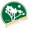 Joshua Tree National Park T-Shirt Design | Print Ready Graphic Tee Shirt | California Desert Landmark