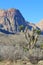 Joshua Tree and Painted Rocks Nevada