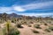 Joshua tree plantsrocky mountain and bushes at scenic Joshua Tree National Park