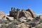 Joshua Tree and Sandstone in the Mojave Desert