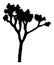 Joshua Tree Silhouette | Vector Outline | Desert Plant Illustration | National Park Symbol | Cacti | Southwest & Route 66 Icon
