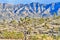 Joshua Trees and The Grand Wash Cliffs, Meadview, Arizona