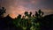 Joshua Trees and Milky Way Galaxy Time Lapse Dolly Shot Mojave Desert California