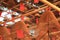 Joss Sticks Inside Buddhism Temple in Hong Kong