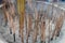 Joss Sticks Smolder on a Buddhist Altar in a temple