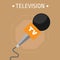 A journalist microphone with an inscription tv. Vector illustration.