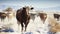 The Journey of Cows to Winter Feed Lots. Generative AI