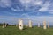 A Journey into the Mystical World of Megalithic Menhirs: Discovering the Prehistoric Wonders of A Coru a Park