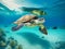 Journey of the Sea: Enchanting Turtle Images for Nature and Wildlife Admirers