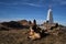 Journey to places of military glory of Second World War. German Shepherd traveler in mountains. Portrait of dog next to monument