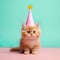 joy of a cat donning a birthday hat, creating an adorable and heartwarming image.