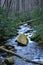 Joyce Kilmer National Park stream