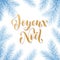 Joyeux Noel French Merry Christmas trendy golden quote calligraphy and fir branch wreath on white frozen blue snow background for