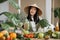 Joyful asian woman in traditional conical hat making smoothies using broccoli