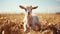 Joyful Baby Goat Walking In A Field - Photobashing Style