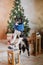 Joyful Border Collie: Celebrating Christmas and New Year with Decorations