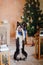Joyful Border Collie: Celebrating Christmas and New Year with Decorations