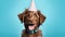 A joyful brown puppy with a polka dotted party hat and blue collar celebrates, against a vibrant blue background