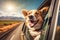 A Joyful Canine Enjoying Summer Vacation Travel on Car Window. Generative AI