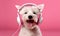 Joyful canine enjoys music with headphones. AI generative