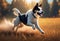 Joyful Canine Gallop: 4K Wallpaper of a Beautiful, Happy, Fluffy Dog Running Freely Outside