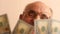 Joyful Caucasian grandfather in glasses holds 100 dollar bills in front of him. Pension savings theme. Portrait of an elderly chee