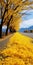 Joyful Celebration Of Nature: Vibrant Yellow Trees Fill The Road