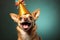 Joyful Chihuahua dog Happily Adorned in Party Hat, Offering Ample Empty Space for Text or Graphics