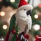 A joyful cockatoo wearing a red and green elf outfit while perched on a branch2