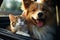 Joyful companionship Happy dog and cat in car together