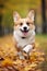 joyful corgi frolicking amidst golden autumn leaves