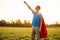 Joyful courageous man in a superhero costume poses on the field against the backdrop of sunset