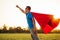 Joyful courageous man in a superhero costume poses on the field against the backdrop of sunset