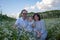 joyful family with daughter sitting in a field of daisies