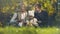 Joyful family having fun in autumn park, spending leisure time together, happy