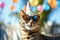 Joyful Feline Wearing Party Hat And Sunnies, Celebrating Anniversary In Panoramic View Standard