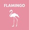 Joyful flamingo with flamingo title, minimal concept and animal poster. Inventive artwork with Bright color. Art for website,