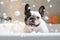 Joyful French Bulldog in bathtub, soap foam flying all around.