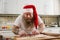 A joyful and funny man in Santa Claus hat and tattooed arms making Christmas cookies. Christman bakery