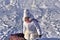 Joyful girl child climbs up the hill. She drags the sled tubing. The girl is engaged in sledding on the slides.